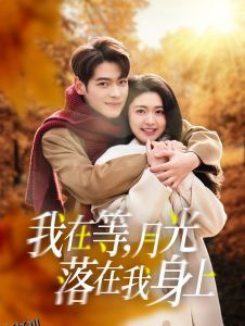 我在等月光落在我身上 高清海报