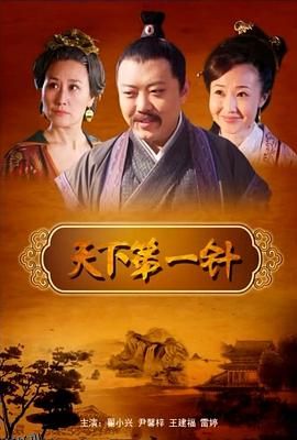 天下第一针 海报