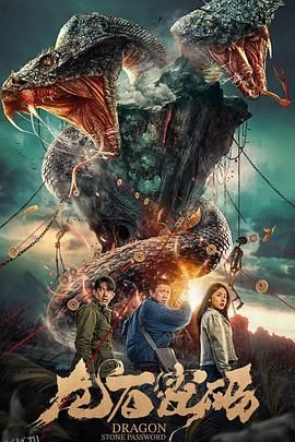 龙石密码 海报