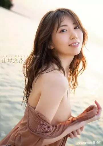 山岸逢花-正在招募向我播种的人 海报