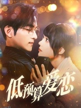 低预算爱恋 海报