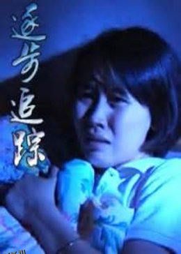 逐步追踪 高清海报