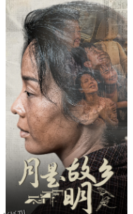 月是故乡明短剧 海报