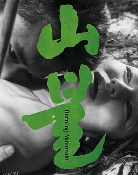 山火[电影解说] 海报