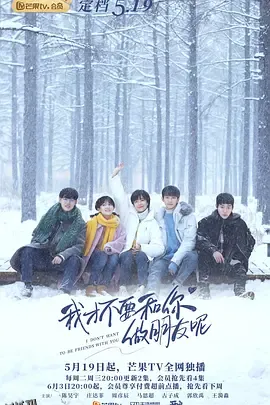 我才不要和你做朋友呢 海报