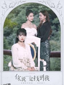 你说一定找到我 海报