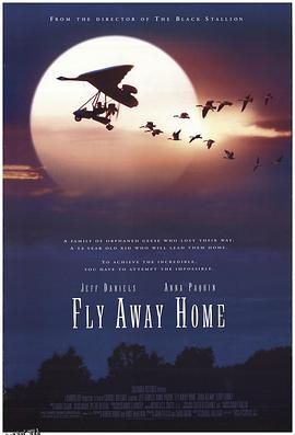 伴你高飞 Fly Away Home[电影解说] 高清海报