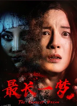 最长一梦 海报