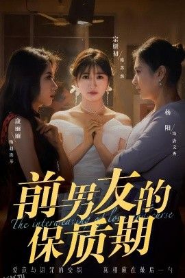 前男友的保质期 海报