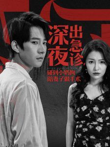 深夜出急诊碰到小奶狗陪妻子做手术 海报