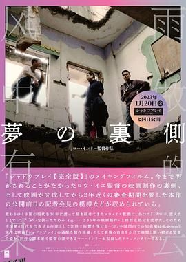 梦的背后 海报