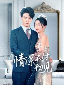 情深不过初见 海报