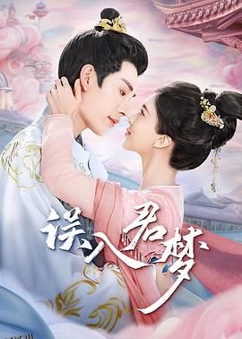 误入君梦 海报