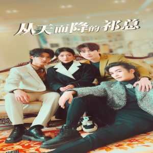 从天而降的祁总 海报