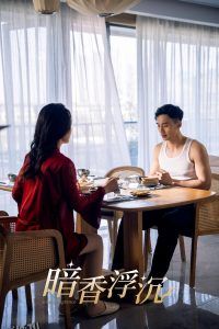 暗香浮沉 海报