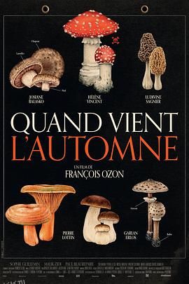 秋日何时来[电影解说] 海报