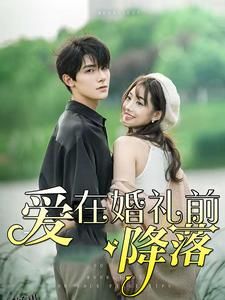爱在婚礼前降落 海报