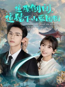 道观倒闭道姑下山要团圆 海报