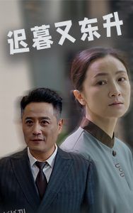 迟暮又东升 高清海报