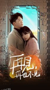 再见再也不见 海报