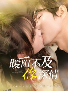 暖阳不及你深情 海报