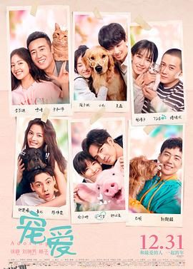 宠爱[电影解说] 海报