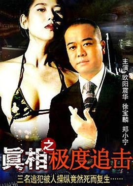 真相之极度追击 海报