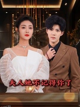 夫人她不记得你了 海报