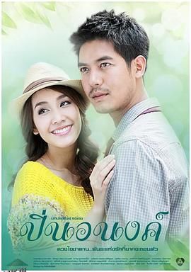 偷心俏冤家 海报