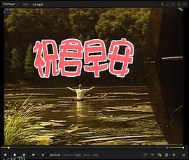 祝君早安国语 海报