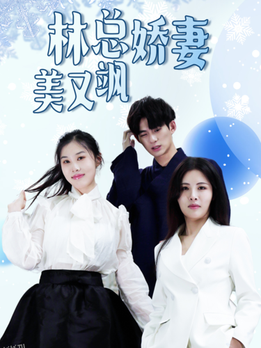 林总娇妻美又飒 海报