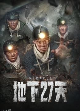 地下27天 海报