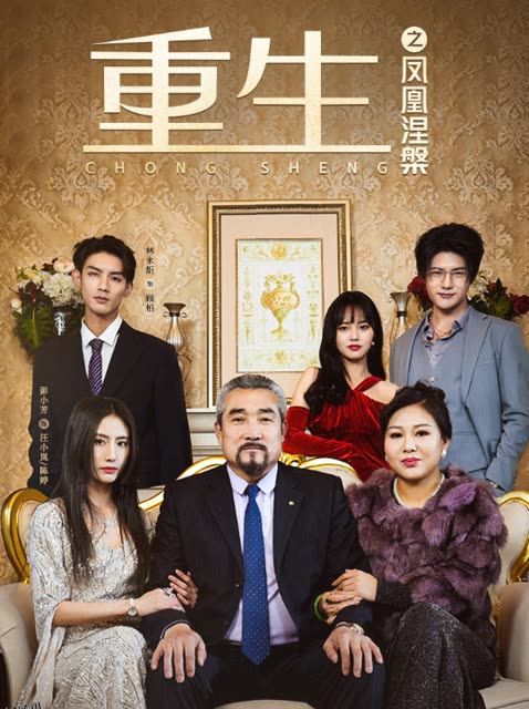 重生之凤凰涅槃 海报