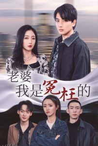 老婆我是冤枉的 高清海报