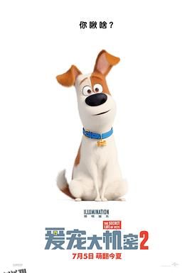 爱宠大机密2[电影解说] 海报