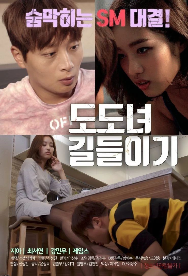 训练势利的女人 海报