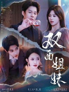 双面姐妹 海报
