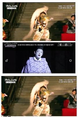 行家本色：歌舞伎演员 市川海老藏[电影解说] 海报