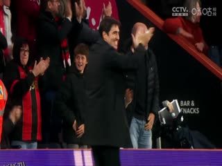 英超联赛 富勒姆VS伯恩茅斯 20241229 高清海报