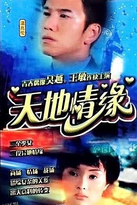 天地情缘 海报