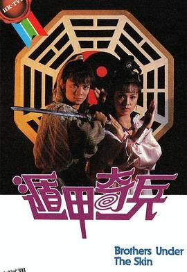 遁甲奇兵国语 高清海报