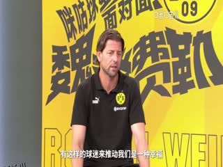 德甲 霍芬海姆vs多特蒙德 (涂远) 20230929 海报