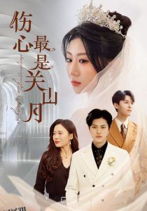 伤心最是关山月 海报