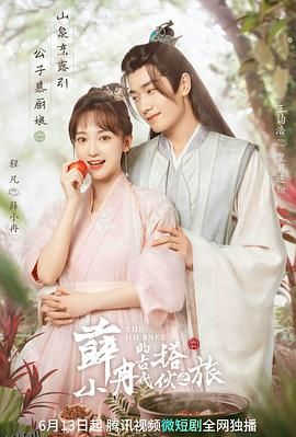 薛小冉的古代搭伙之旅 海报