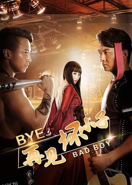 再见坏小子 海报