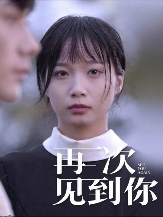 再次见到你 海报