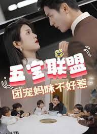 五宝联盟，团宠妈咪不好惹 海报