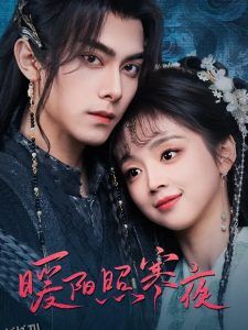 暖阳照寒夜 海报