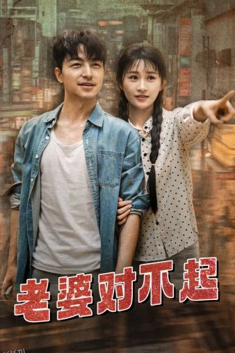 老婆对不起 海报