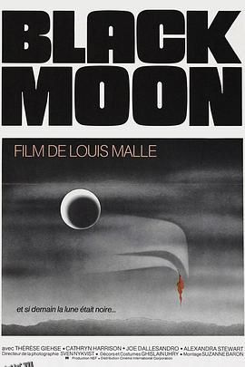 黑月亮[电影解说] 海报